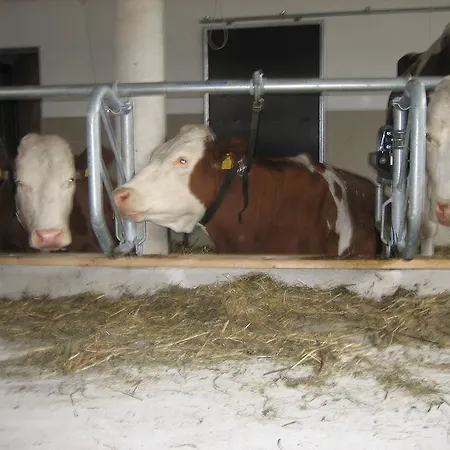 ファームステイ Talhammerhof ウダーンス