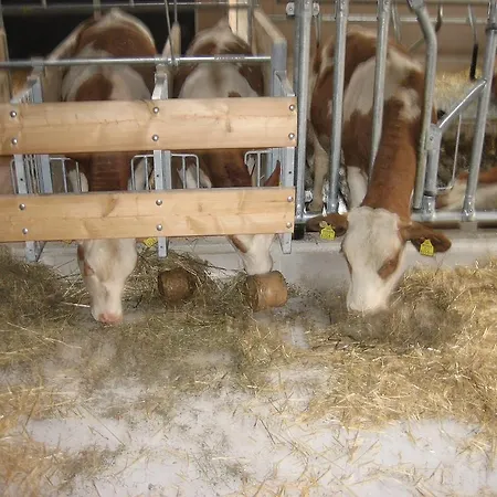 Talhammerhof ファームステイ ウダーンス